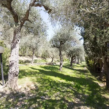 I Cigni Apartment