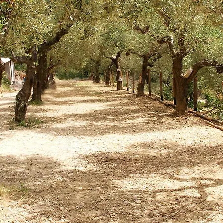 Διαμέρισμα I Cigni