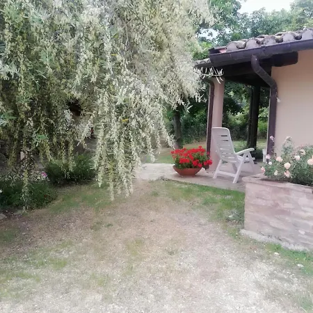 I Cigni * Montefiore dell'Aso